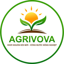 AGRIVOVA